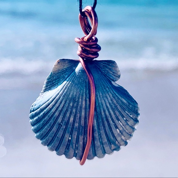 Jewelry - 🐳 3/$25 Exotic Clearwater Painted Shell Necklace